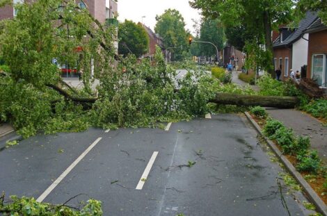 Storm Damage